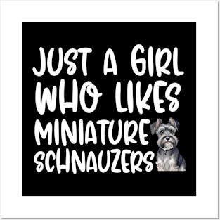 Just A Girl Who Likes Miniature Schnauzers Posters and Art